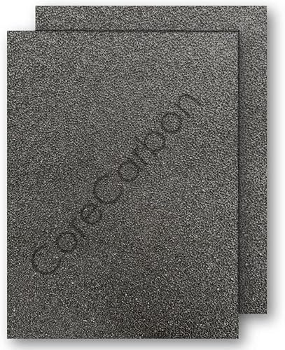 CoreCarbon Foam Furnace Door Filter for Mobile, Manufactured and Modular Homes 16x26x.25 (2-Pack)