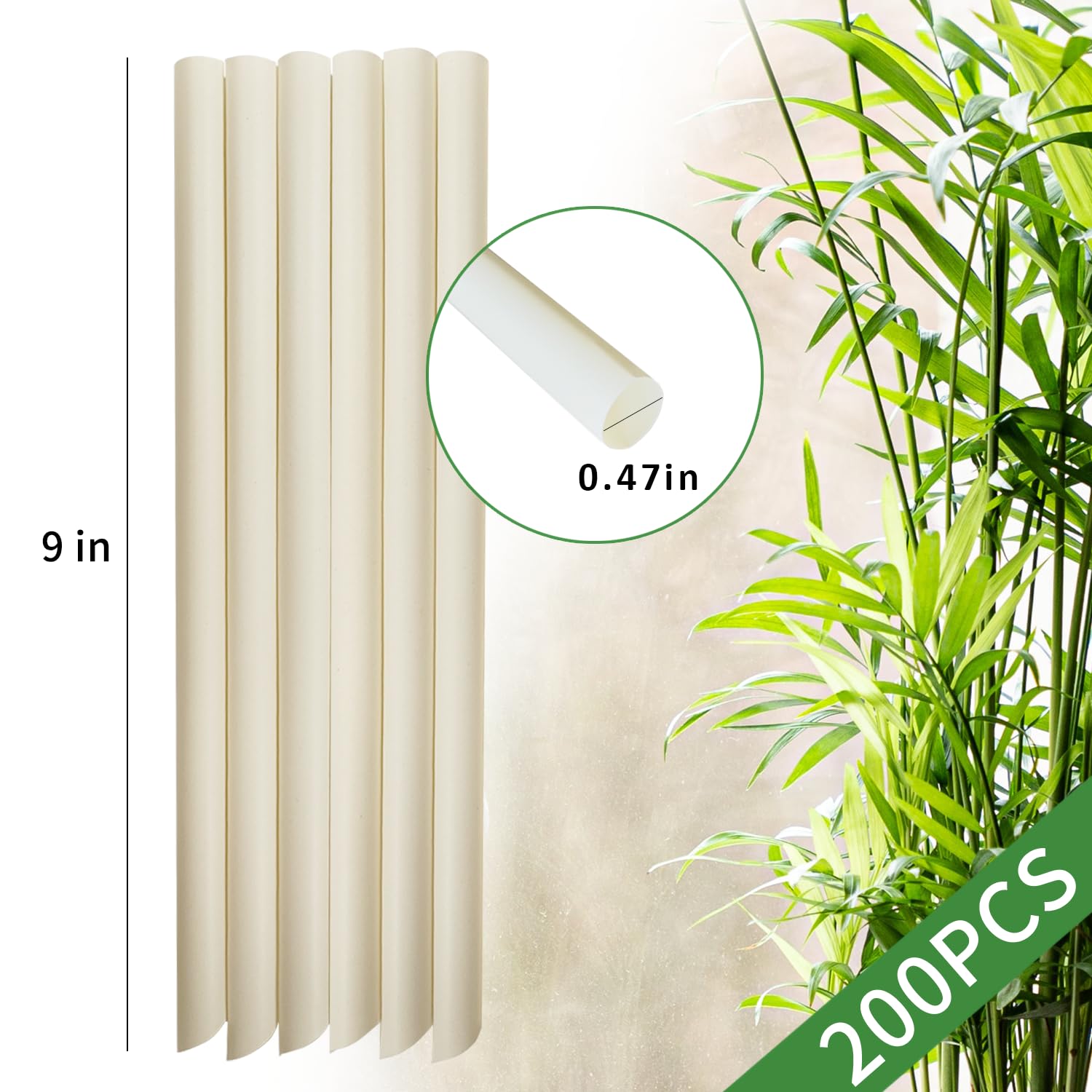 12mm Boba Straws Biodegradable Bamboo Fiber Straws for Bubble Tea Smoothies - 23cm Long Disposable Jumbo Milkshake Straw (200Pack) - Image 2