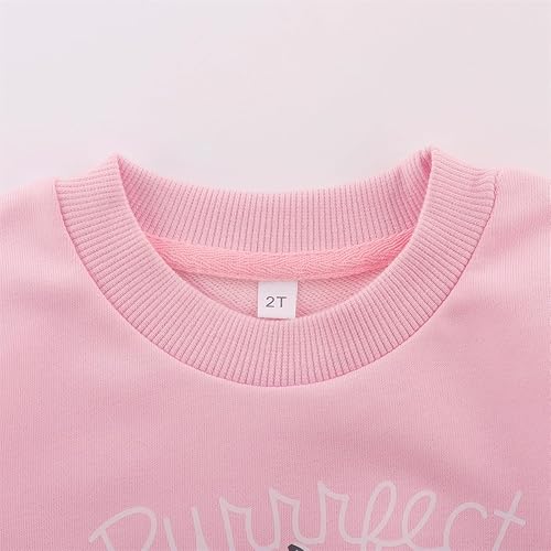Miniatura 3 de NUBEEHOHO Sudaderas para niñas pequeñas, cuello redondo, sin botones, de manga larga, para invierno, casual, ropa 2T-7T