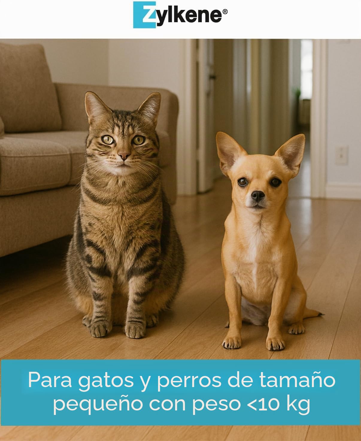 Zylkene Pienso Complementario | Gatos y Perros de hasta 10 kg | Relajante para situaciones de malestar | 100 cápsulas de 75 MG
