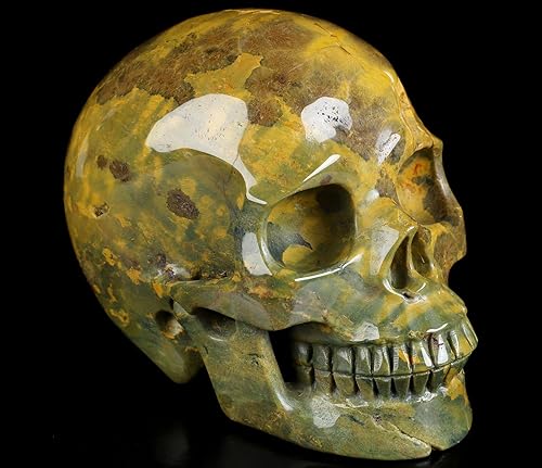 Vista 21 de Skullis Calavera de cristal de jaspe oceánico de 5.0 pulgadas, escultura de arte fino de piedras preciosas talladas a mano, estatua de piedra Jaspe