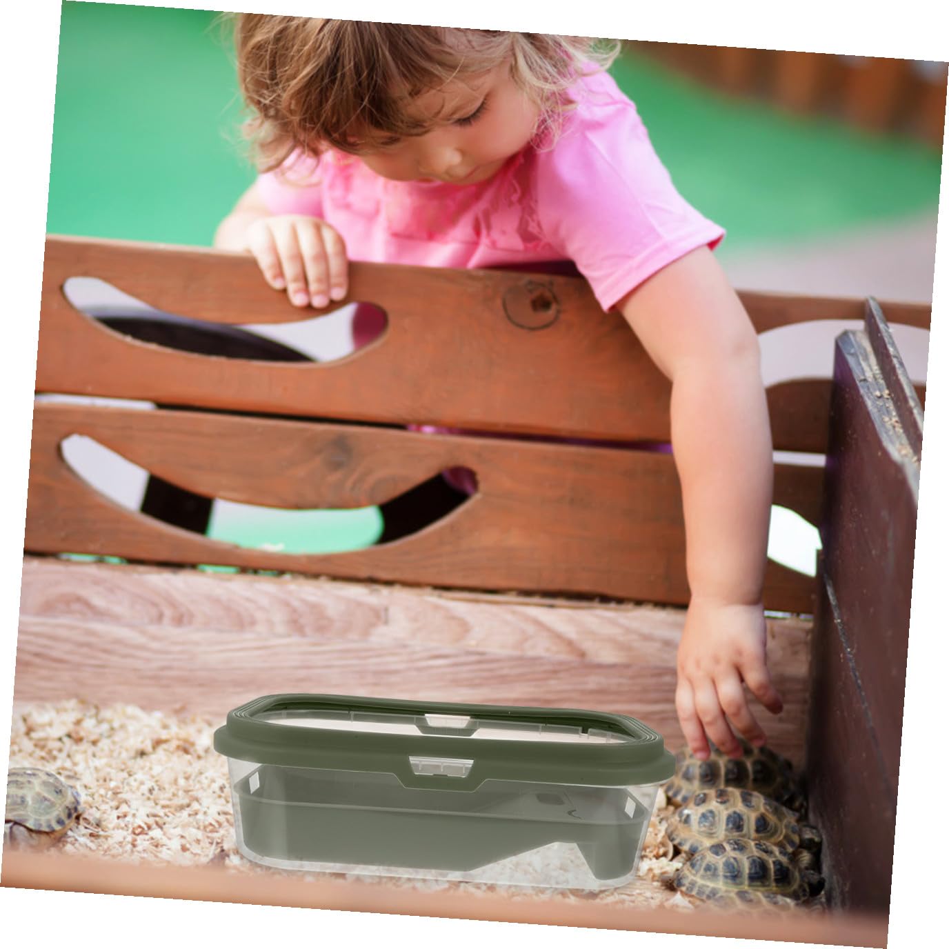 Terrarium pour Tortues avec Terrasse et Rampe, Grand Aquarium Vert | Plastique, Design Créatif, Dispositif de Changement D’eau, Nettoyage Facile, Usage Pratique pour Grenouille et Tortue