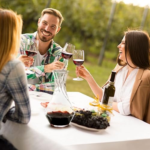 Miniatura 5 de NUTRIUPS Decantador de vino de caracol con tapón soplado a mano Decantador de aireación de vino Decantador de jarra de vino