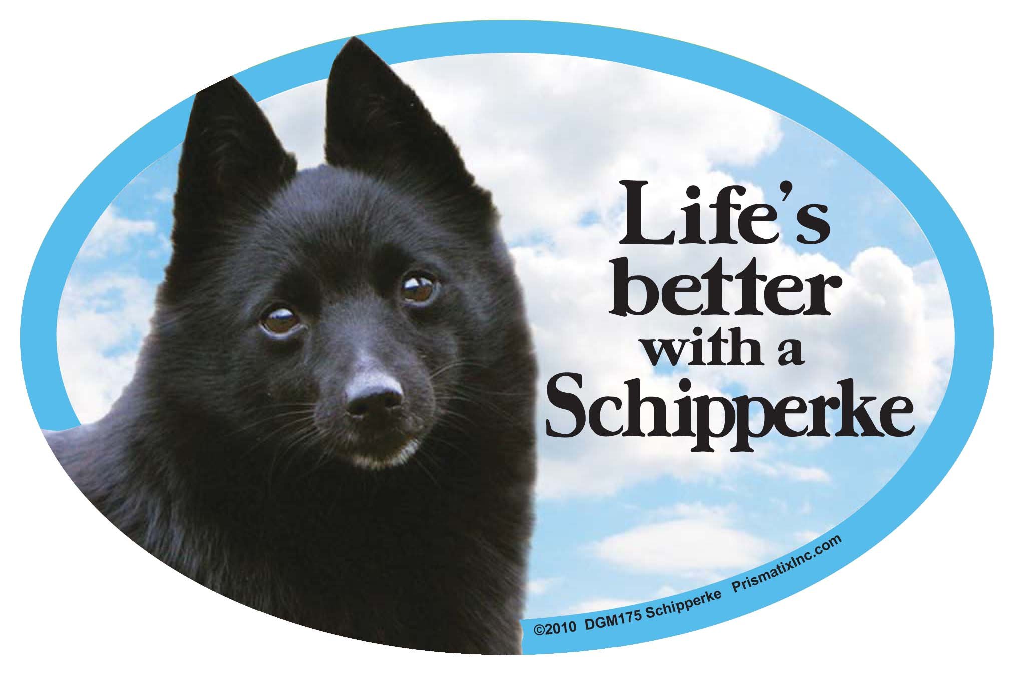 Prismatix Decal Dog Pet Magnets, Schipperke - Life's Better with a Samoyed - Strong Durable Car or Fridge Magnet Decal with Bright Colors, Great Gift for Dog Mom or Dad, 6 x 4 inches