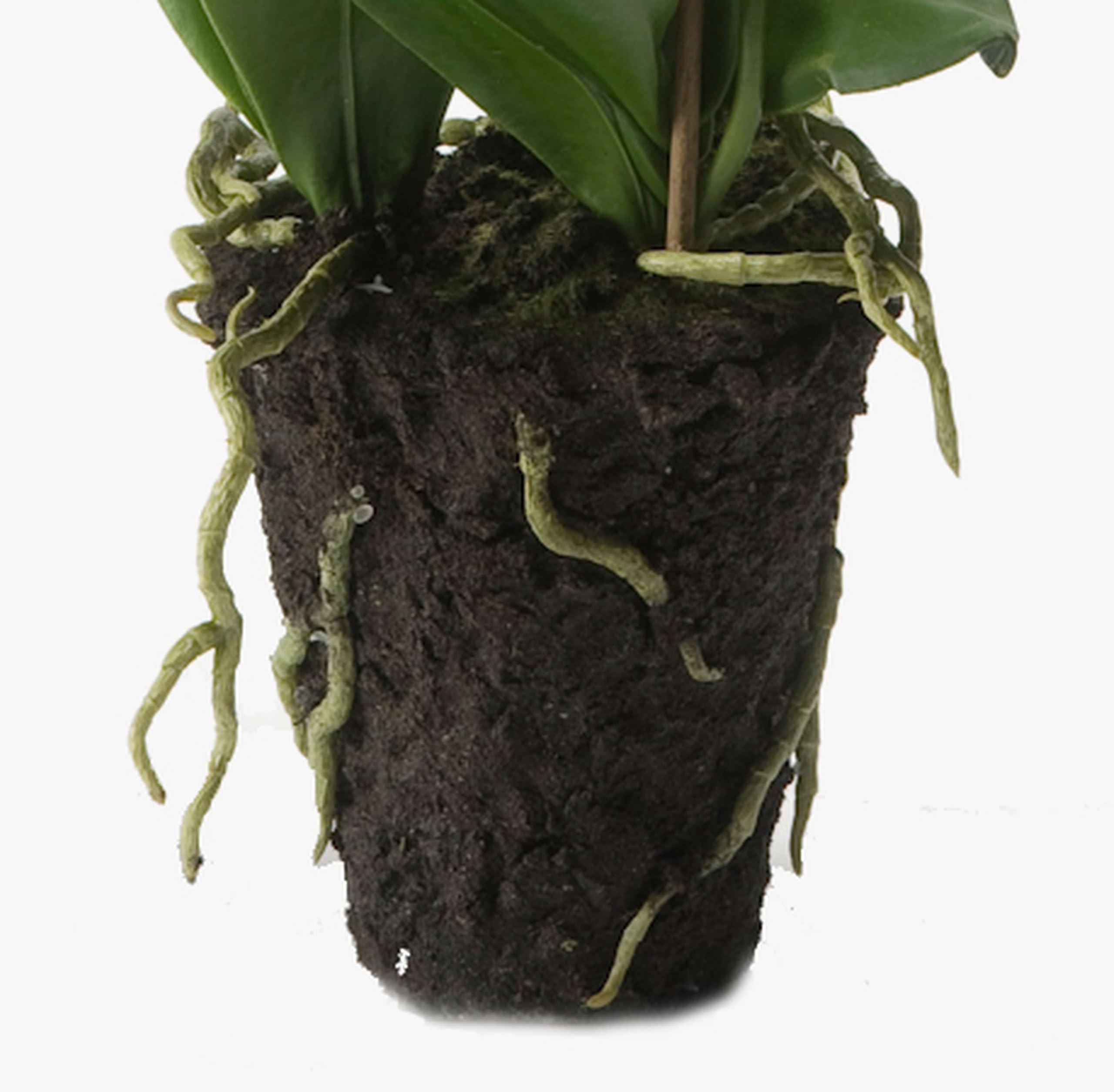 artplants.de Künstliche Phalaenopsis Orchidee Pabla im Erdballen, weiß - gelb, 70cm - hochwertige Kunstorchidee
