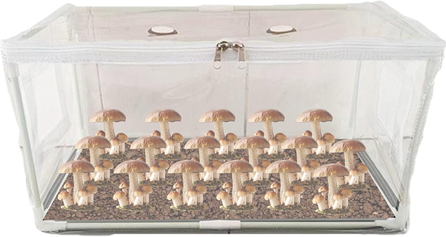 19.7x9.8x9.8 in Still Air Box Clear Mushroom Grow Tent with Ventilation Holes & Top Zipper Reusable Pop-up Monotub for Indoor Outdoor