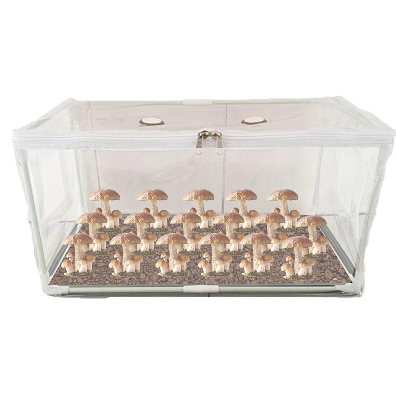 19 7x9 8x9 8 in Still Air Box Clear Mushroom Grow Tent with Ventilation Holes Top Zipper Reusable