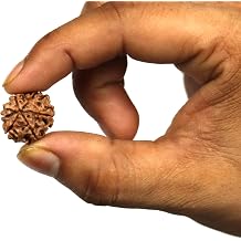 ASHIRWAD Original Certified Rudraksha Beads Nepali Natural Himalayan Genuine Face Mukhi 6 Six Face Mukhi