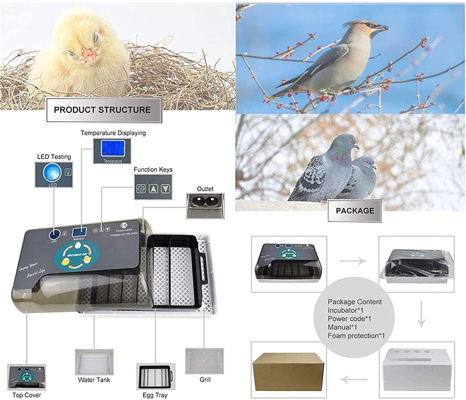 Incubadora digital de huevos completamente automática, 12 incubadoras de huevos, capacidad para incubar patos de gallina, aves de corral, paloma, codorniz, control de temperatura de humedad y