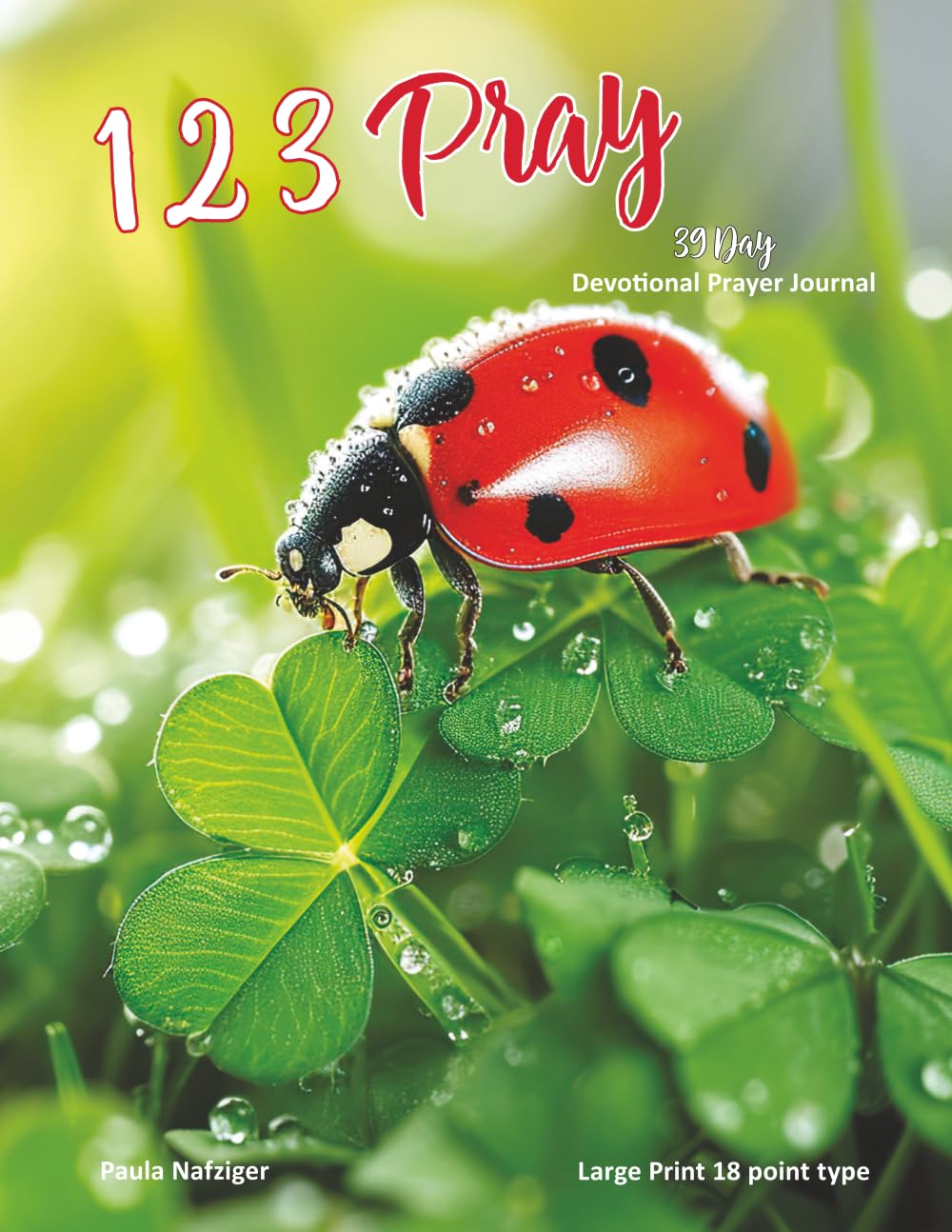 123 Pray 39 Day: Devotional Prayer Journal