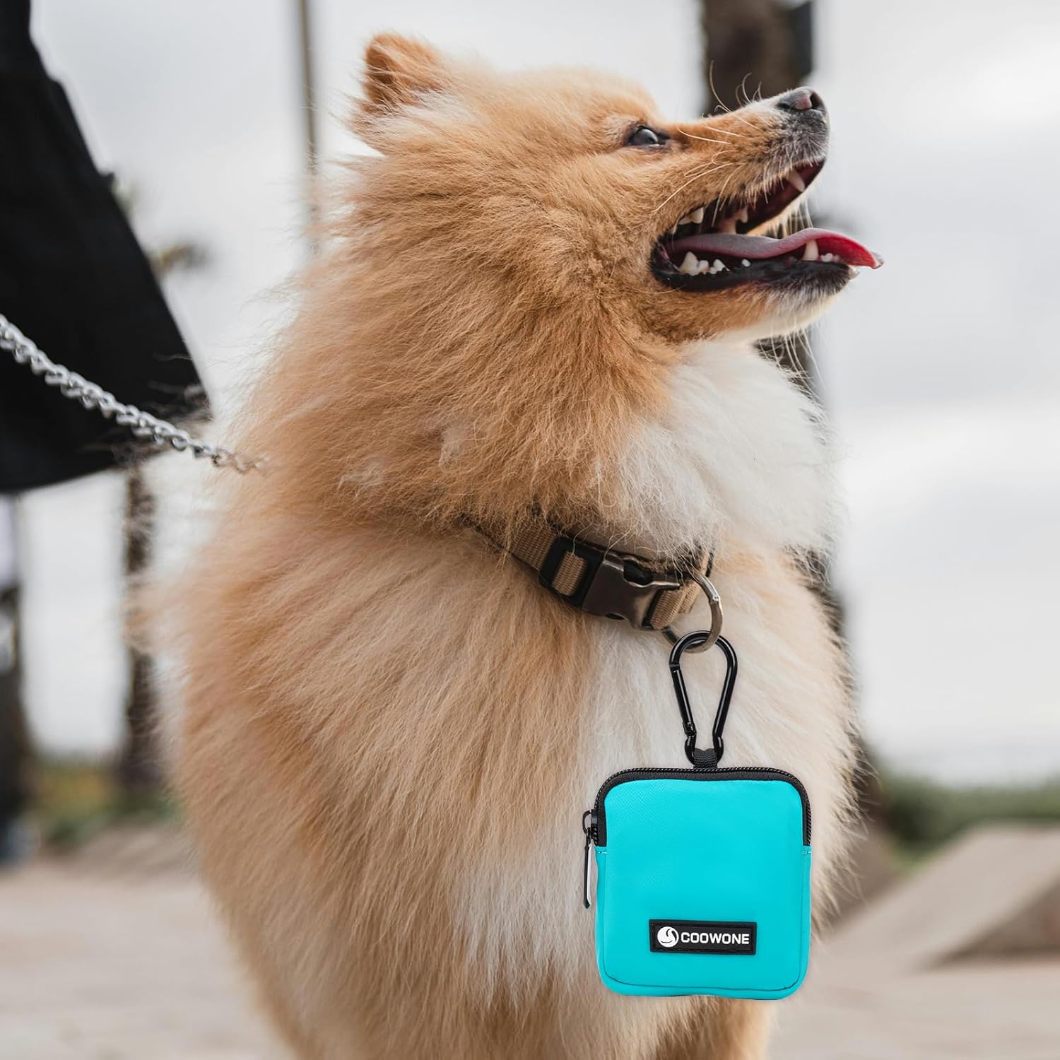 COOWONE Dog Treat Pouch Pocket Sized Pet Puppy Training Pouch for Dog Training Behavior Aids, Waterproof Nylon Fabric Dog Poop Bag Holder, Hands Free Dog Walking Bag with Metal Carabiner(Lake Green) - Image 8