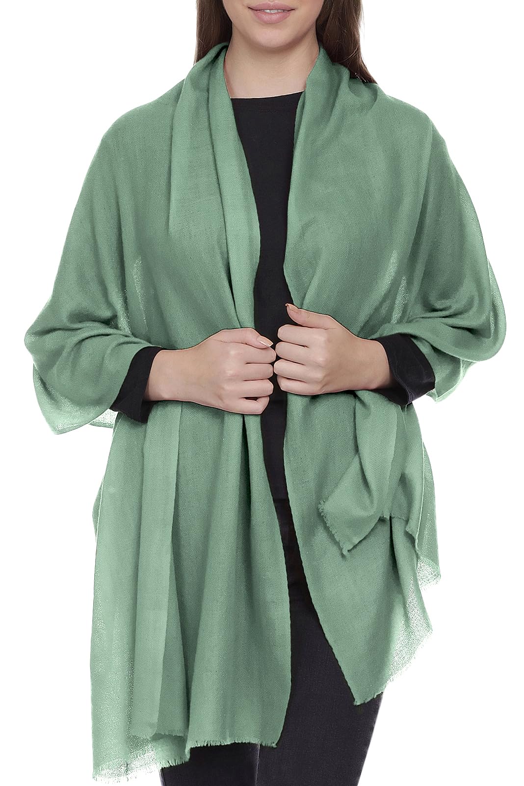 Écharpe en cachemire Fabriqué au Kashmir (boîte cadeau) Élégant laine mérinos Soie Mélange de cachemire doux Long foulard Femmes Hommes Pashmina Automne Hiver