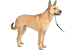 PetSafe Gentle Leader No-Pull Dog Head Collar Figure 8 Design - Redirects...