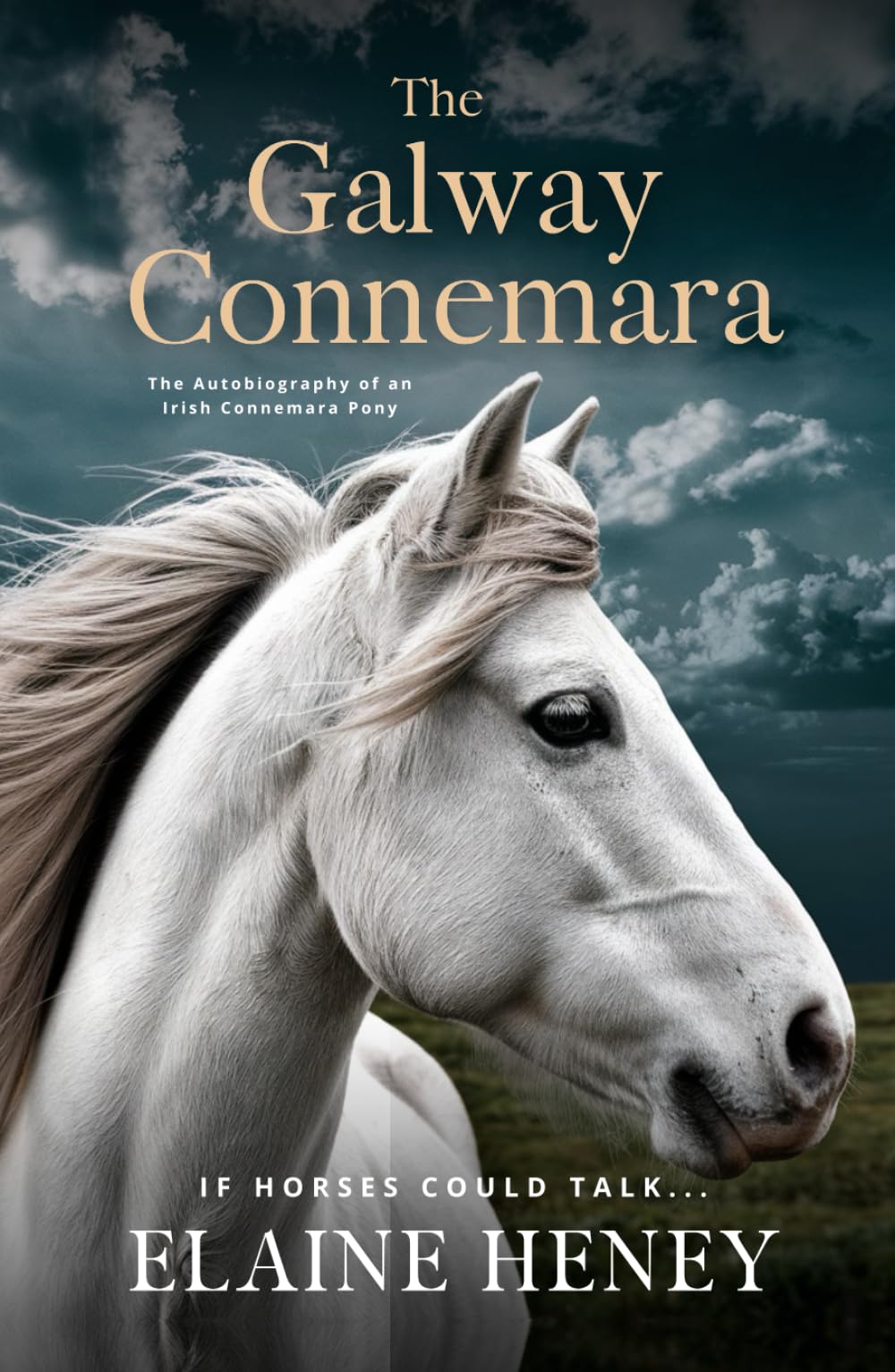 The Galway Connemara | The Autobiography of an Irish Connemara Pony. If horses could talk...