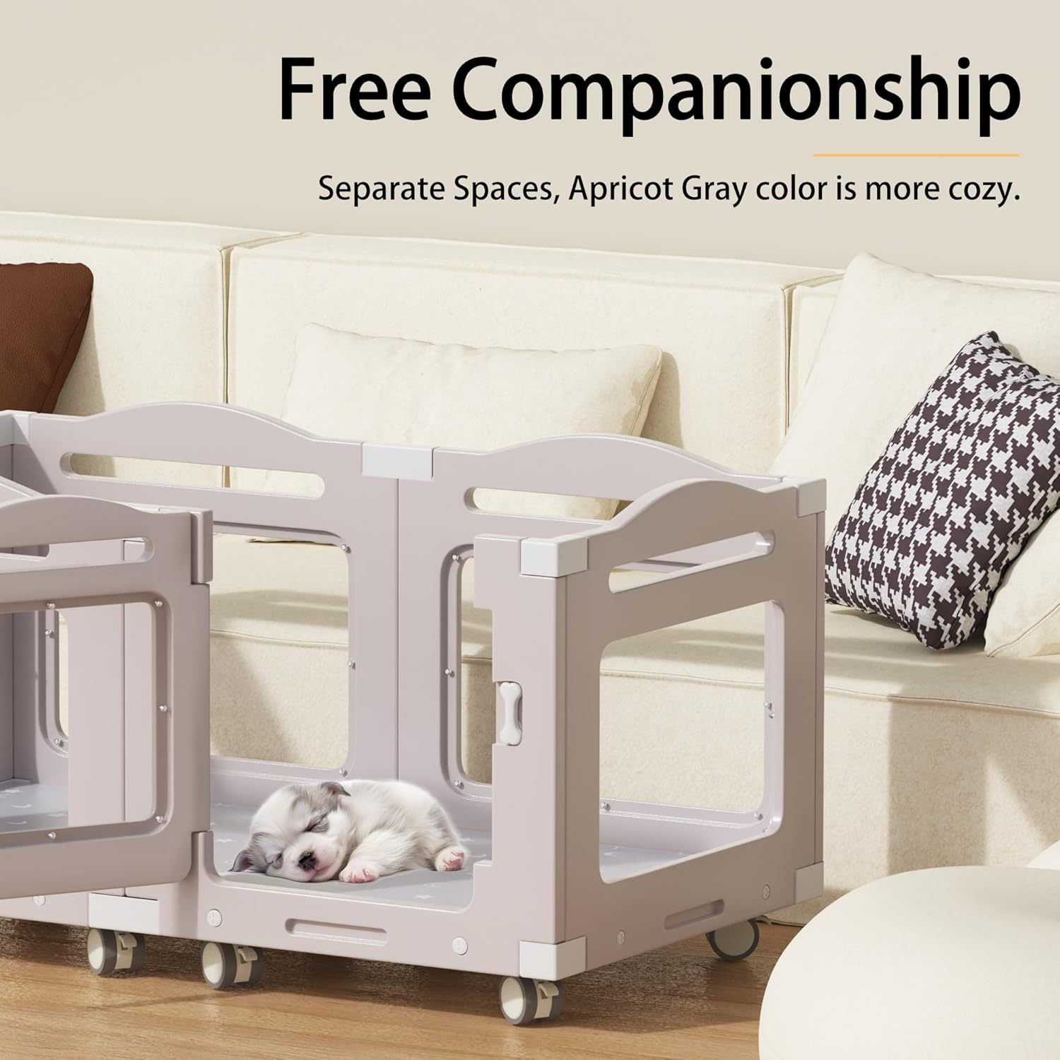 The Best Deals Brought To Your Area!