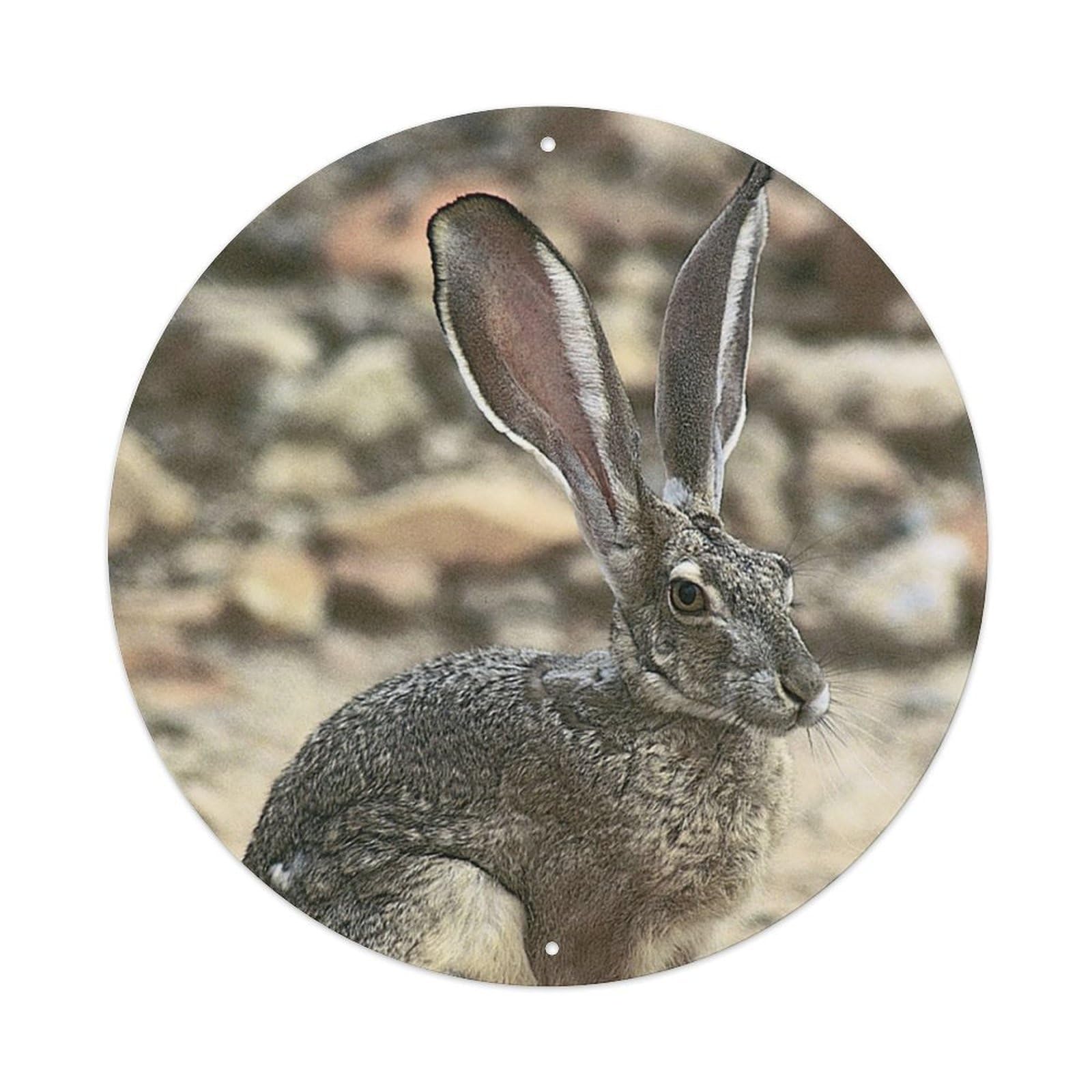 Animal Long-eared Hare with Black Tail Vintage Metal Tin Sign Plaque Wall Decor for Cafe, Club Bar, Office, Garden Metal Poster 8x8Inch