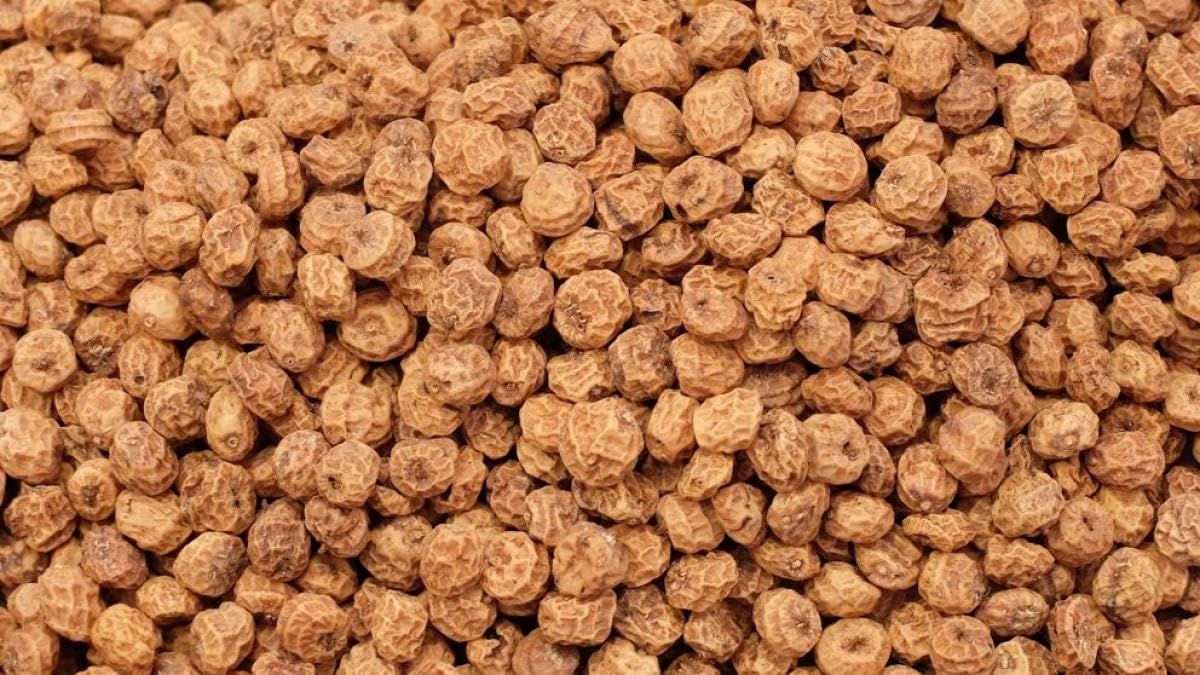 Chufa Natural Kilo - Origen España - Chufa Seca La Albufera - Chufa Tradicional — view 4