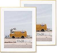 Vista 333 de Fun Memories Portarretratos de metal de 16 x 20 pulgadas con paspartú de 11 x 14 pulgadas, acabado de aluminio cepillado, parte delantera de vidrio