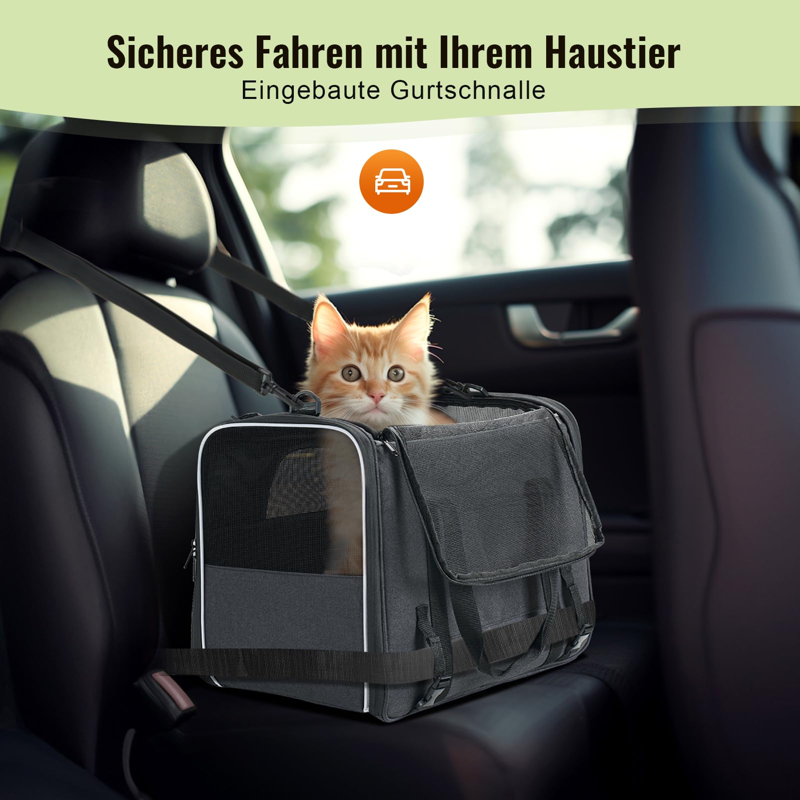 Morpilot Katzentransportbox für große Katzen und Welpen Katzenbox Hundetasche mit Sicherheit Reißverschlüsse Faltbare Schale, Transportbox Katze Hunde für Der Gang zum Tierarzt