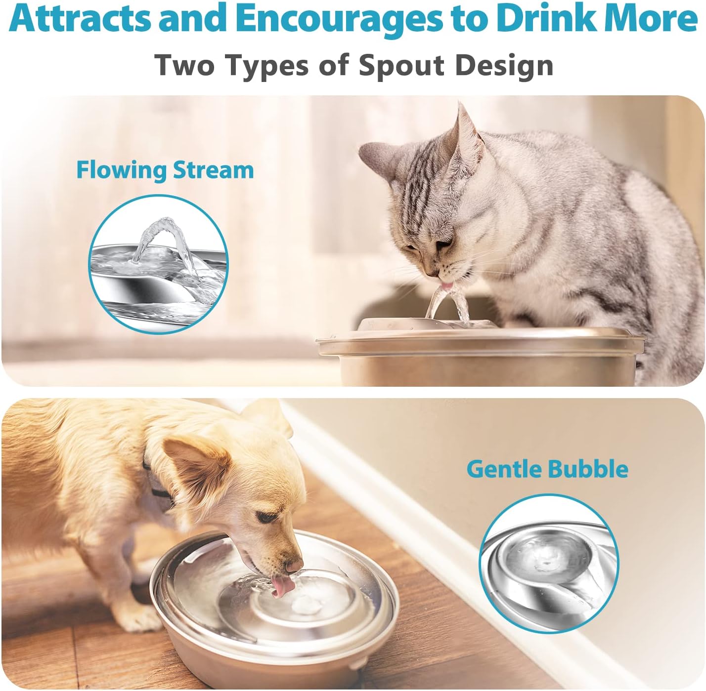 Pet Supplies : ORSDA Cat Water Fountain Stainless Steel, Pet Water Fountain for Cats Inside 2L, Cat Automatic Water Dispenser, Dog Water Fountain, Metal Cat Fountain, Pet Fountain, Cat Drinking Fountain Steel : 