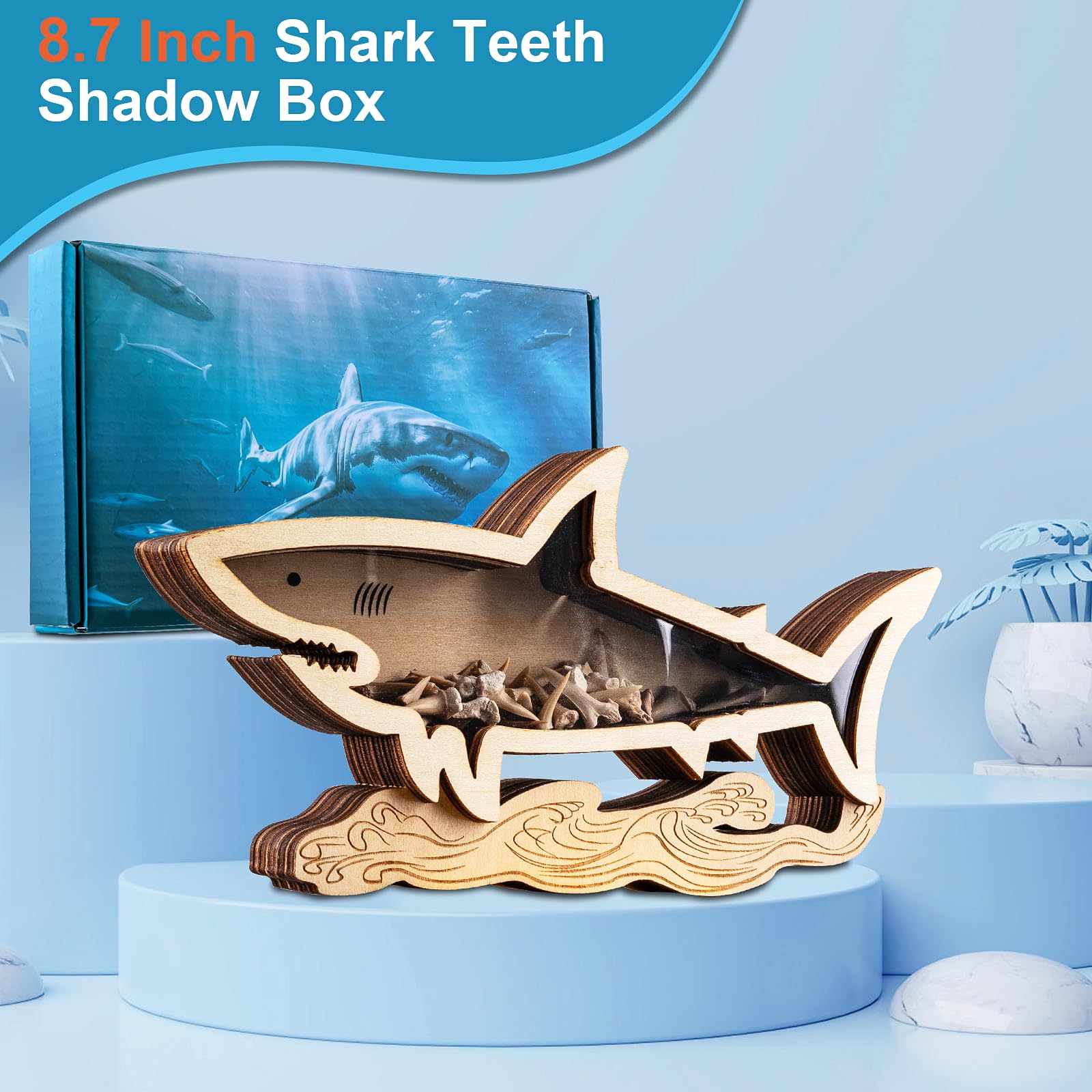 Shark Tooth Display Case 8.7 Inch,Wooden Shark Tooth Holder,Wood Shark Tooth Shadow Box,Shark-Shaped Display for Shark Tooth Collectors,Gifts for Vacation Beach Home Decor