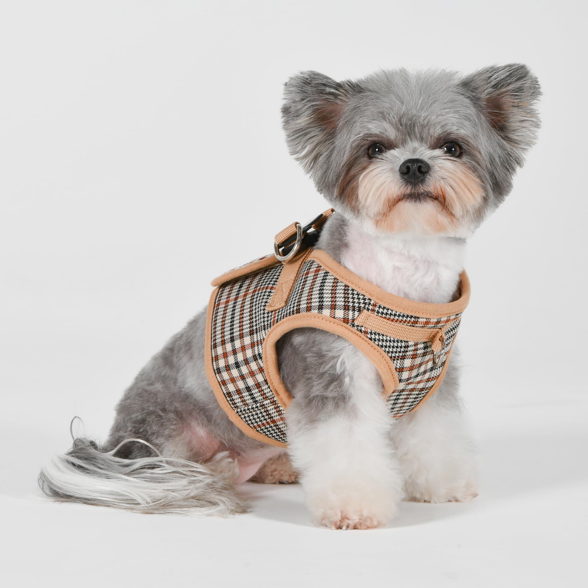Puppia Lucas - Arnés de chaleco B (escalón), arnés de primavera y verano con patrón a cuadros para perros pequeños y medianos, beige, talla S