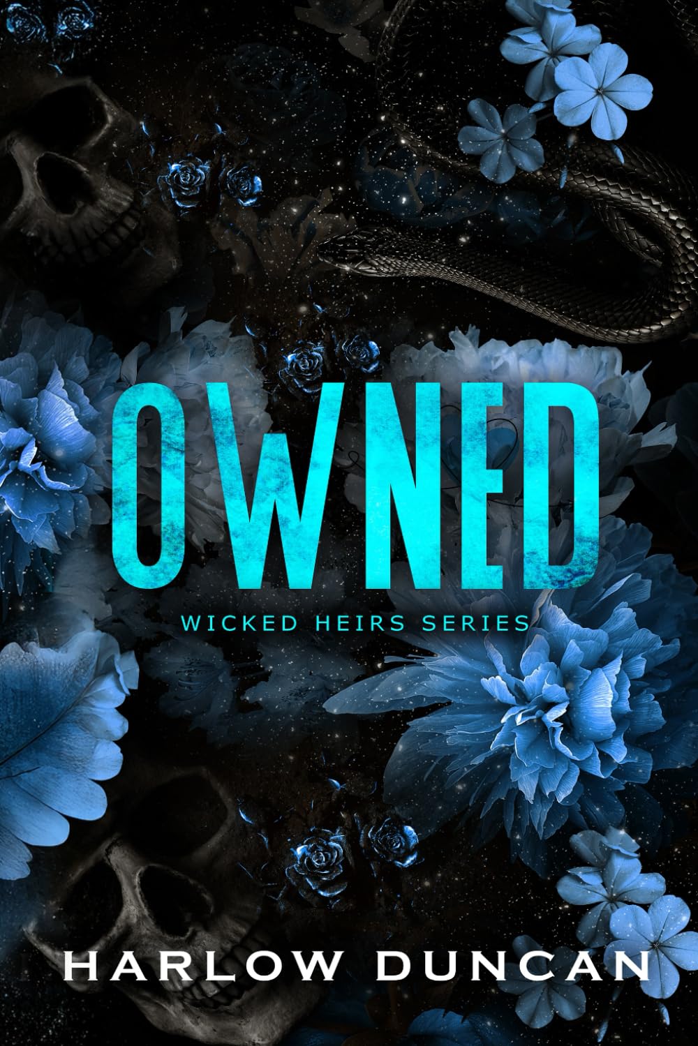 Owned: A Dark Paranormal Why Choose Gothic Romance (Wicked Heirs)