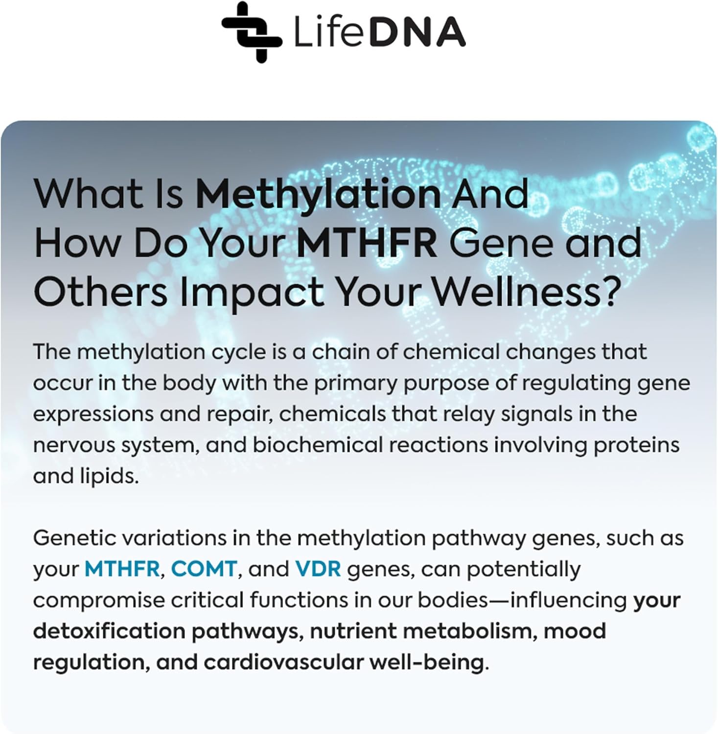 LifeDNA 13 Methylation Genes Test Complete Wellness Analysis | Over 120 Traits for Nutrition, Fitness, Vitamins, Sleep, Skincare Reports - Image 4