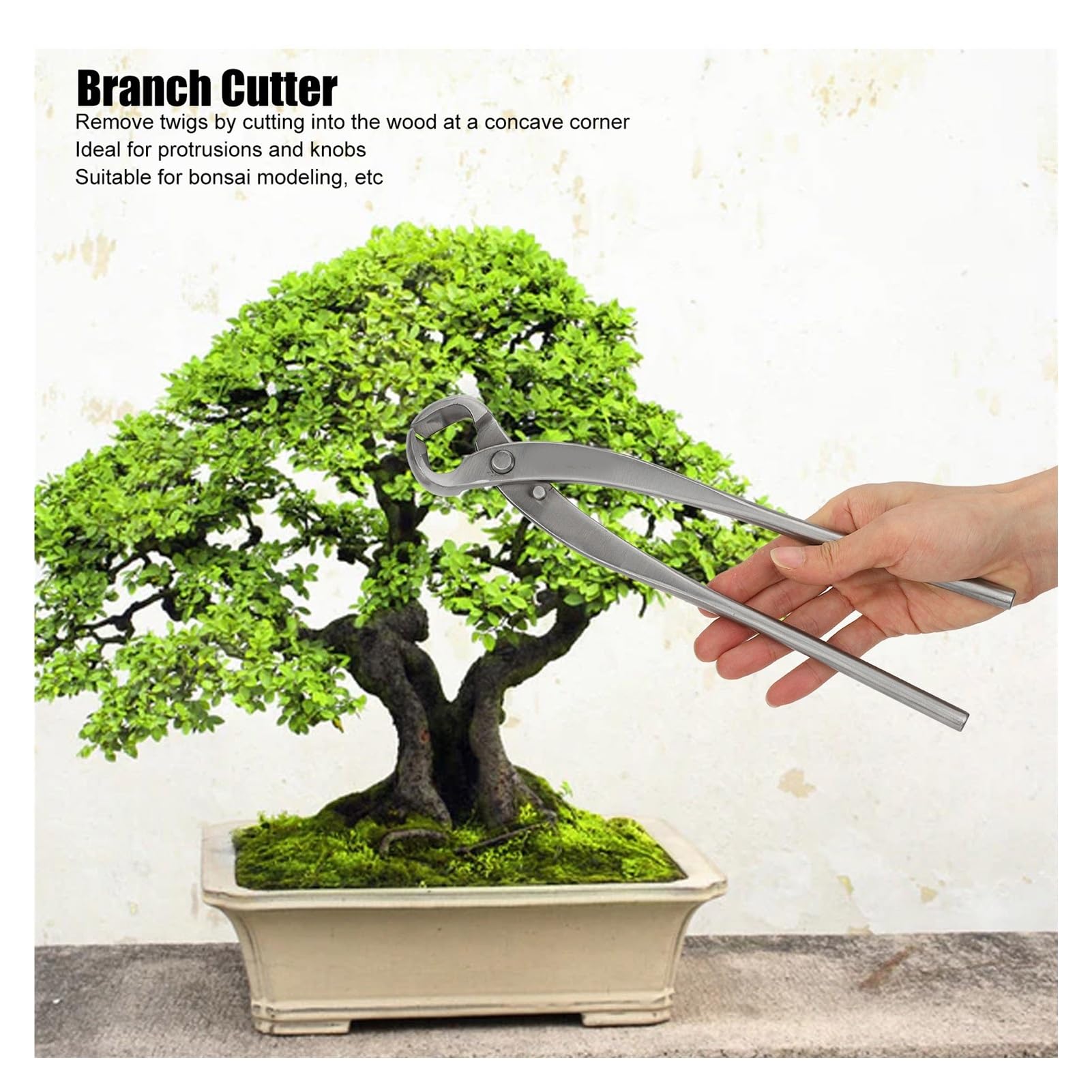 ESESE Cesoia concava Professionale for Bonsai da 11,6 Pollici, Forbici for potatura di Rami in Acciaio Inossidabile for Giardinaggio, Alberi, modellatura di Bonsai, Strumento di rifinitura