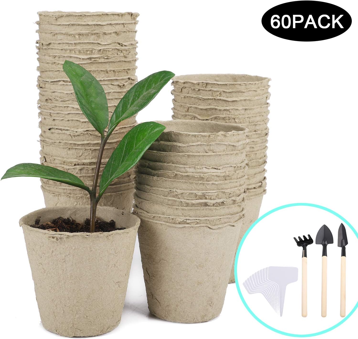 3 inch Peat Pots Plant Starter | 60 Pack Seed Starter Kit | Seeding Starter for Garden Nursery Pots| Bonus 30 Pack Plant Markers and 3 Pack Mini Gardening Tool