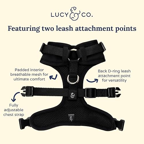 Miniatura 3 de The Midnight Black Lucy & Co. - Arnés antitirones para perro, deja de tirar y caminar fácilmente, arnés disponible en XS - XL para perros pequeños,