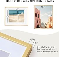 Vista 650 de Fun Memories Portarretratos de metal de 16 x 20 pulgadas con paspartú de 11 x 14 pulgadas, acabado de aluminio cepillado, parte delantera de vidrio