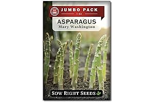 Sow Right Seeds - Bulk Mary Washington Asparagus Seeds: Your Gateway to Homegrown Asparagus Delights