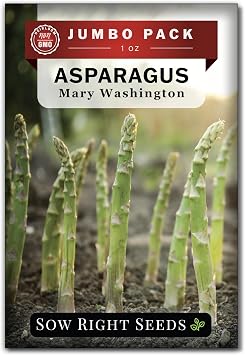 Sow Right Seeds - Bulk Mary Washington Asparagus Seeds for Planting - 1 Ounce, 1600 Seeds - Non-GMO HeirloomJumbo Pack with Instructions to Plant a Home Vegetable Garden - Grow Asparagus for Years