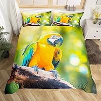 Vista 7 de Feelyou - Juego de ropa de cama con funda de edredón de dibujos animados para niños, niñas y adolescentes, con estampado de vehículos modernos