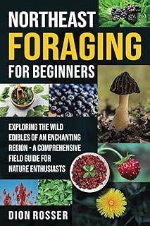 Northeast Foraging for Beginners: Exploring the Wild Edibles of an Enchanting Region – A Comprehensive Field Guide for Nature Enthusiasts