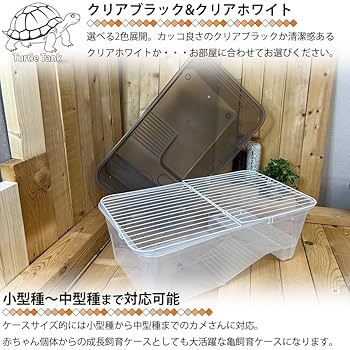 Amazon | 亀飼育ケース (中) タートルタブ 排水口付き タートル