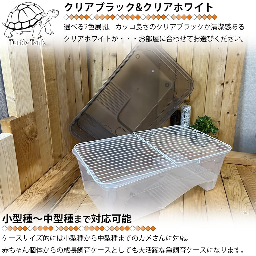 陶器製 染付 唐草 亀 タートル 親子 蓋物 小物入れ 大型サイズ Amazon | 亀飼育ケース (中) タートルタブ 排水口付き タートル