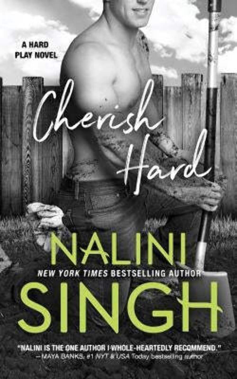 Cherish Hard: Volume 1 (Hard Play)