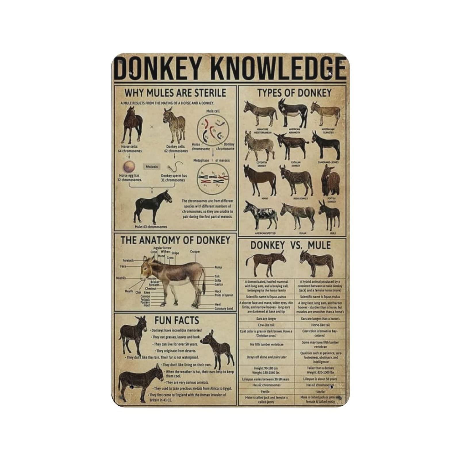 AOOEDM Donkey Knowledge Vintage Tin Sign Metal Tin Signs for Man Cave Funny Art Wall Plaque Kitchen Bar Pub Coffee Shop Wall Decor