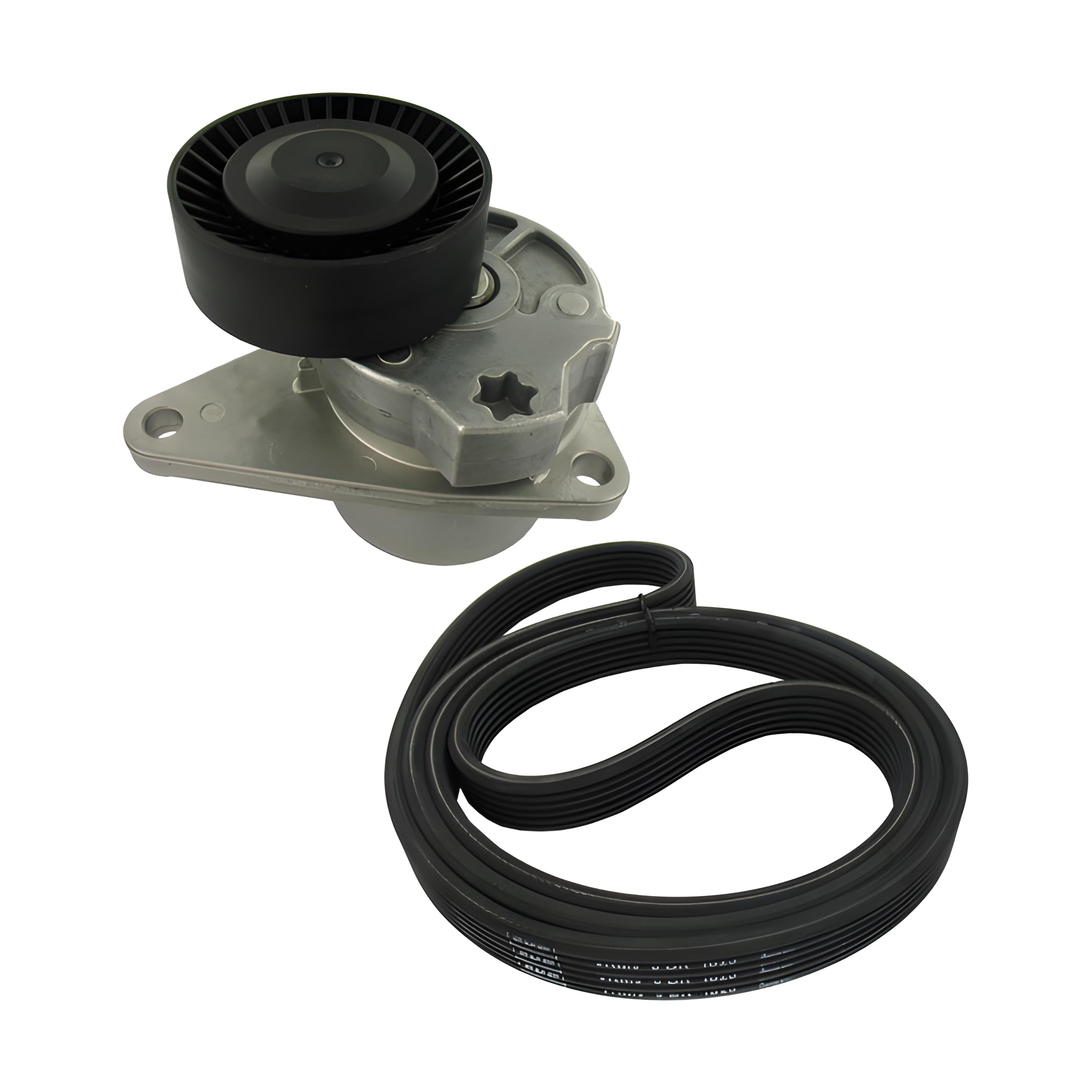 Kit Courroie Multi-V SKF VKMA 36224 aux Normes Constructeurs - 7
