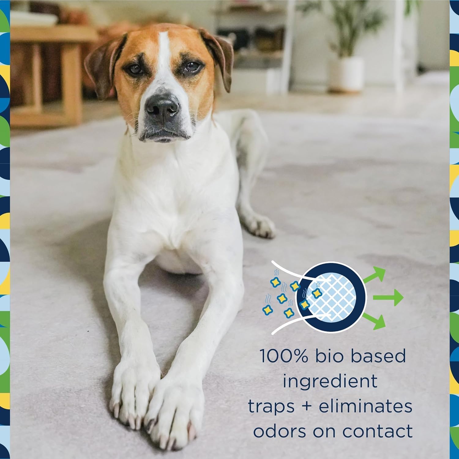 Pet Life Unlimited Carpet Refresher Powder, Carpet Deodorizer Powder Pet Safe & Foaming Stain + Odor Eliminator Spray for Pet Homes Bundle - Two-Way Spray Applicator, Made in the USA image 3