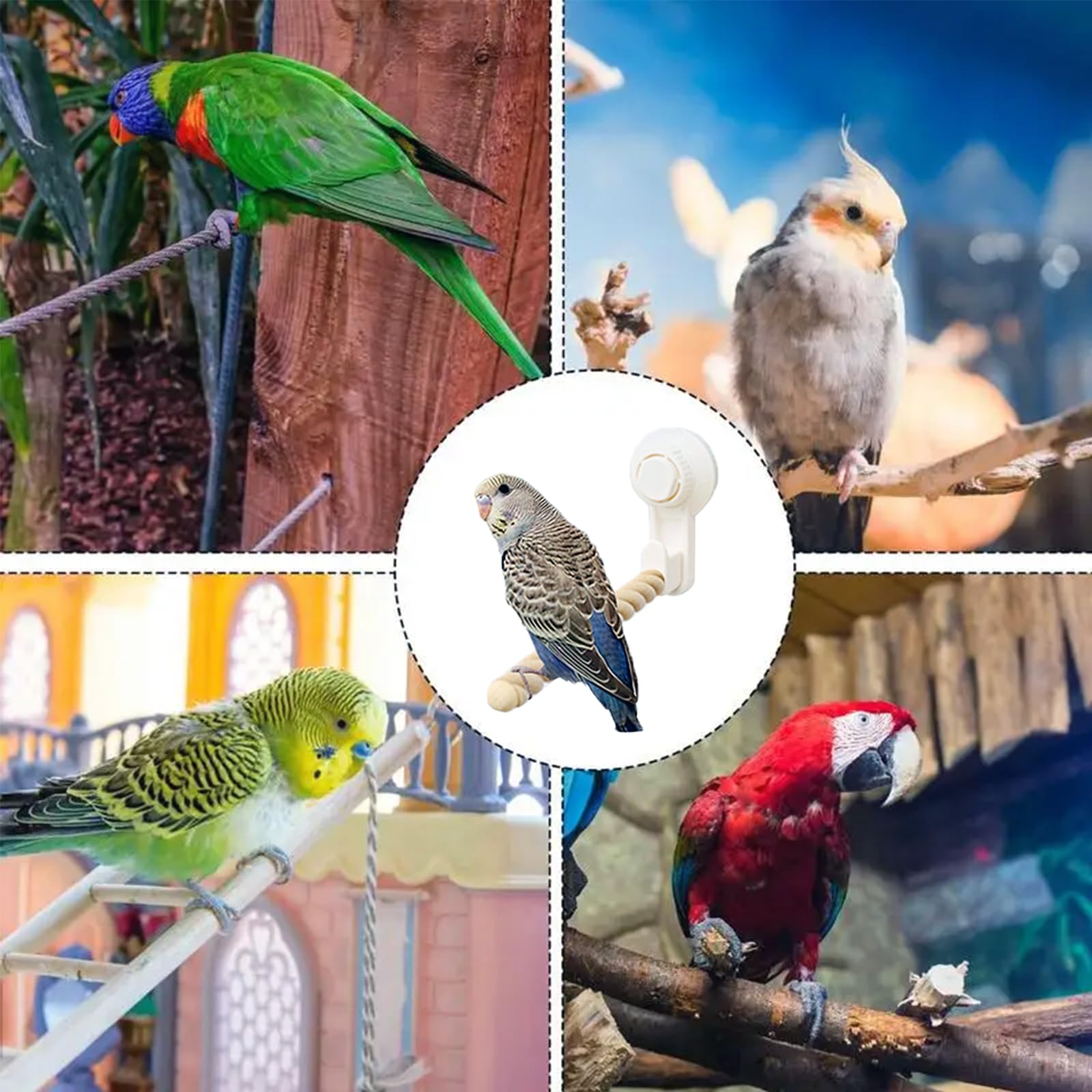 1 PCS Bird Stands for Parrots ，Perch Cockatiel Parakeets, Movable Bird Perch Stand with Suction Cup,Grinding Stick Training Toys for Small and Medium Birds(Twist Grain) - image 3