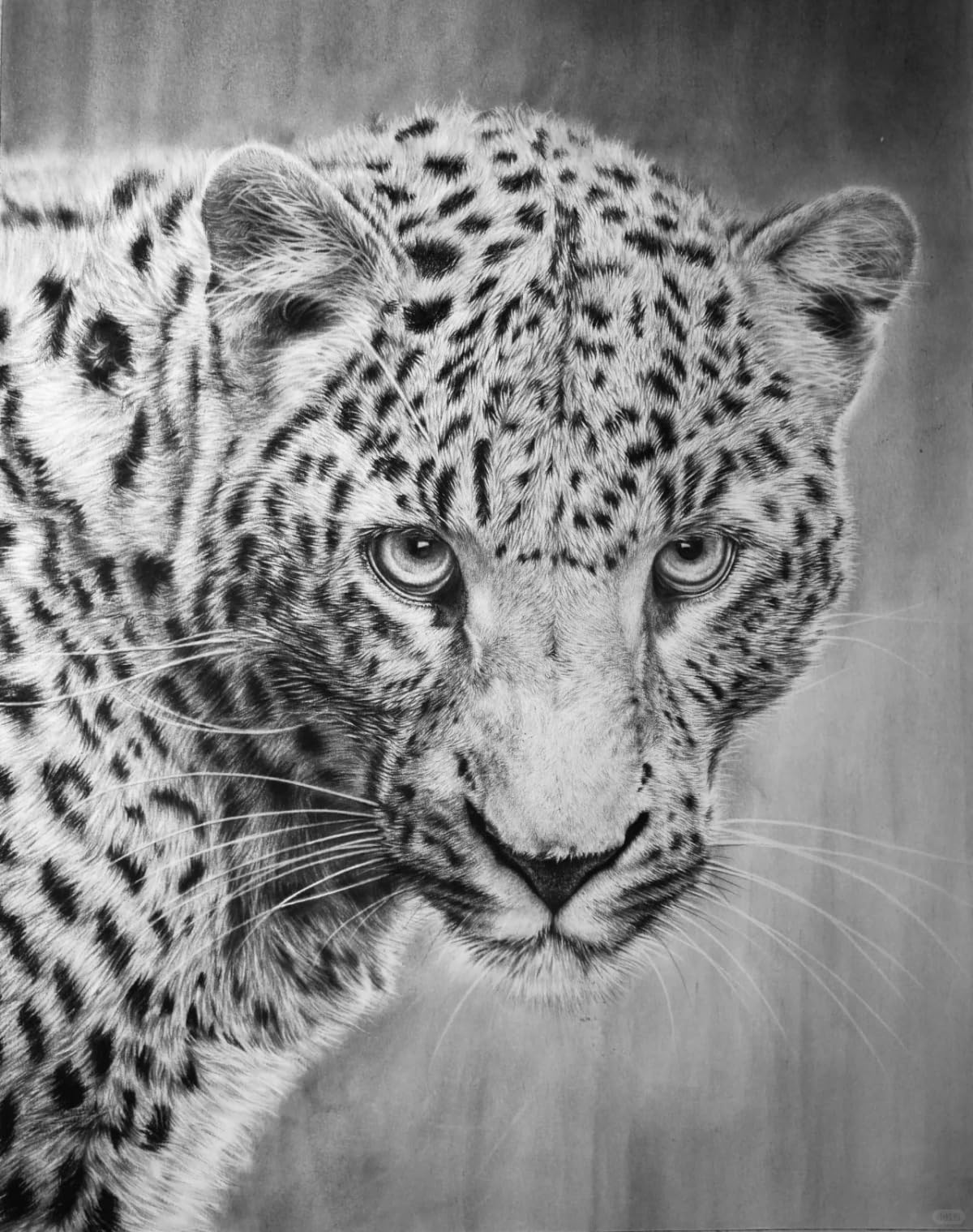 Kit per ricamo fai da te con motivo leopardato, per adulti, con tela stampata, kit di filato all'uncinetto, per principianti e adulti, 78,7 x 114,3 cm