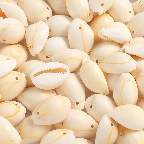 Miniatura 10 de Conchas marinas mixtas de 6.35 oz de océano, conchas marinas en espiral naturales diminutas para decoración del hogar, boda, jarrón de pecera,