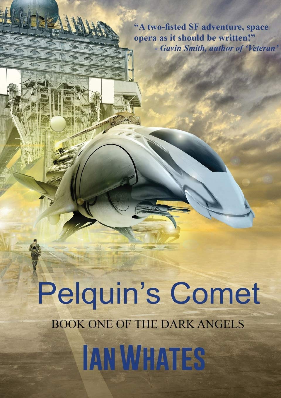 Pelquin's Comet: 1 (The Dark Angels)