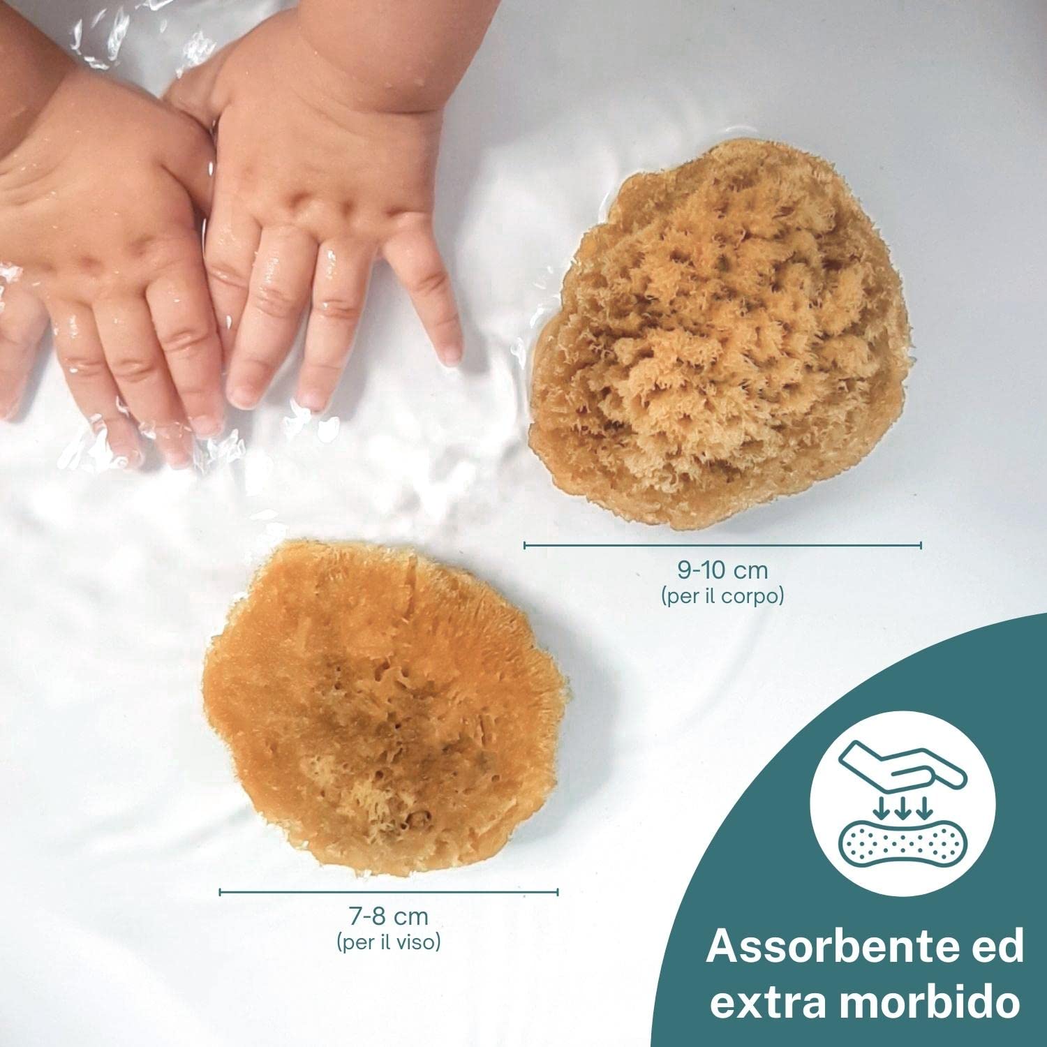 tom&pat® Spugna neonato bagnetto • marina naturale 100% • per bambini e neonati • Mediterraneo • Dermatest eccellente • qualità premium Grecia (2 x 7-10 cm)