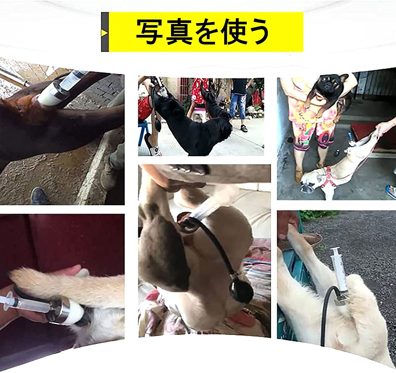 Amazon | 新しい犬の人工授精キット小型、中型、大型犬用の20ml動物用