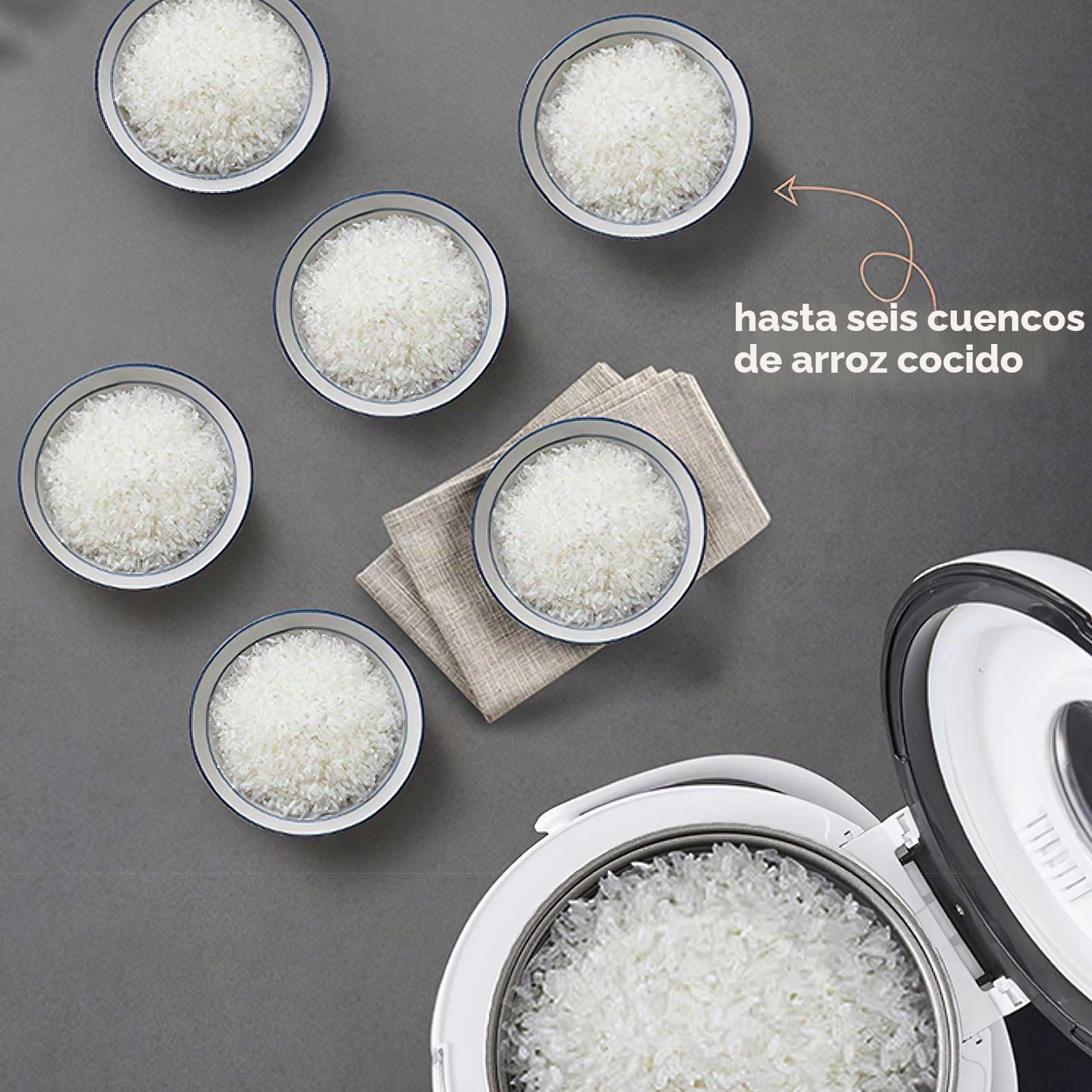 Olla Arrocera Portátil de 2 L, Arrocera Pequeña para 2-3 Personas, Rice Cooker Multifuncional con Cuchara y Taza Medidora, 12 V/24 V/220 V, Fácil de Limpiar, para Cocina, Dormitorio y Viaje