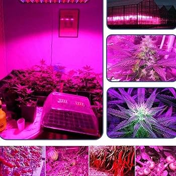 LEDグロウライト Amazon.co.jp: Ledグローライト、屋内植物栽培Led Grow Light